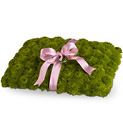 Ringbearer's Pillow Cottage Florist Lakeland Fl 33813 Premium Flowers lakeland